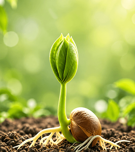Growth Plan